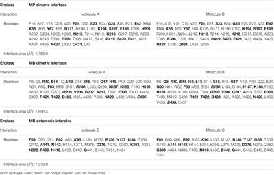 Evidence for the Rapid and Divergent Evolution of Mycoplasmas: Structural and Phylogenetic Analysis of Enolases